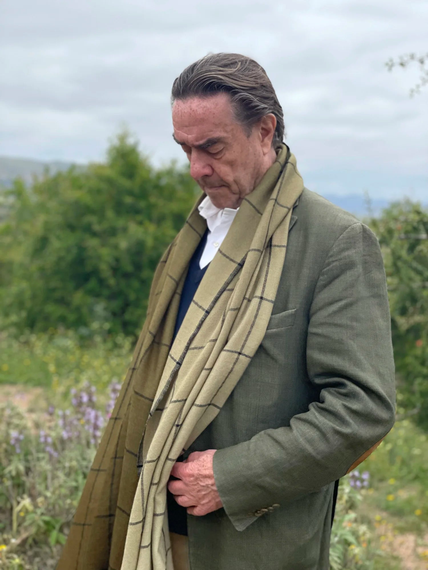 SCARF ASSIF